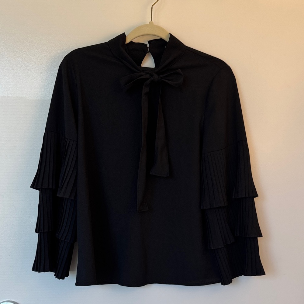 Ina Black Pleated Sleeve Blouse